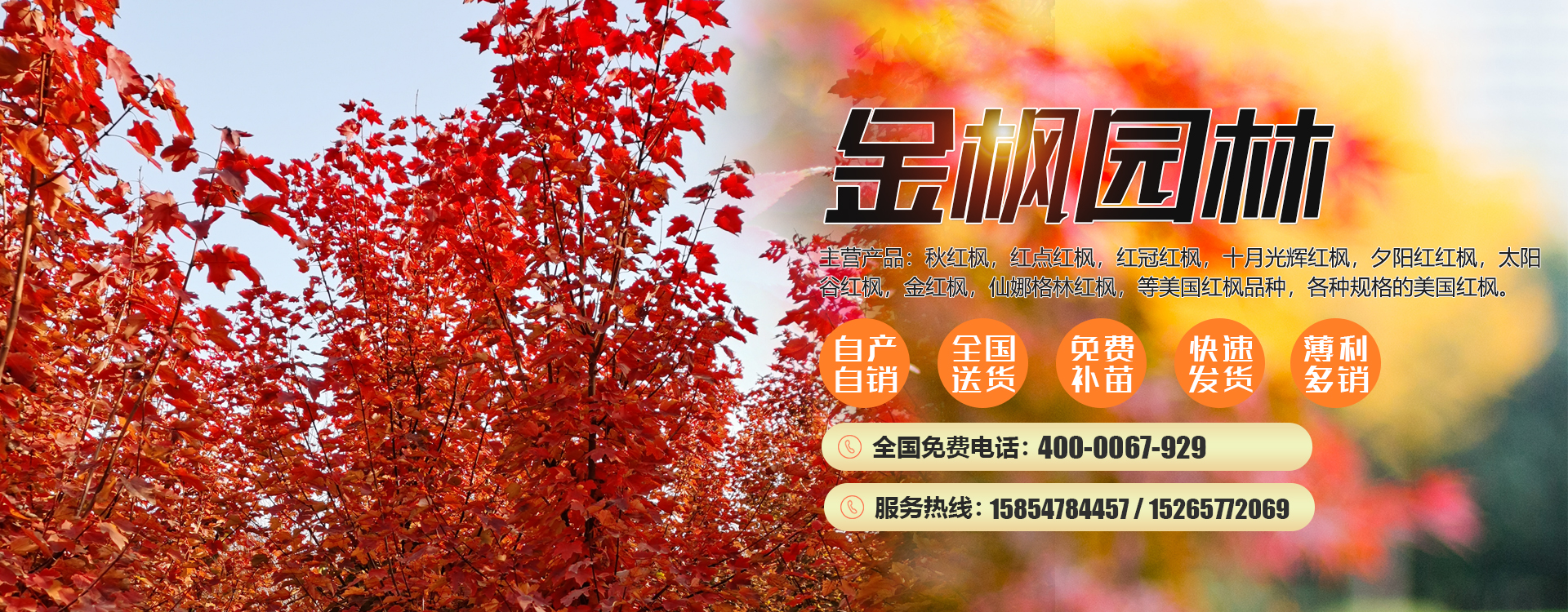 諸城市天豐牧業(yè)有限公司